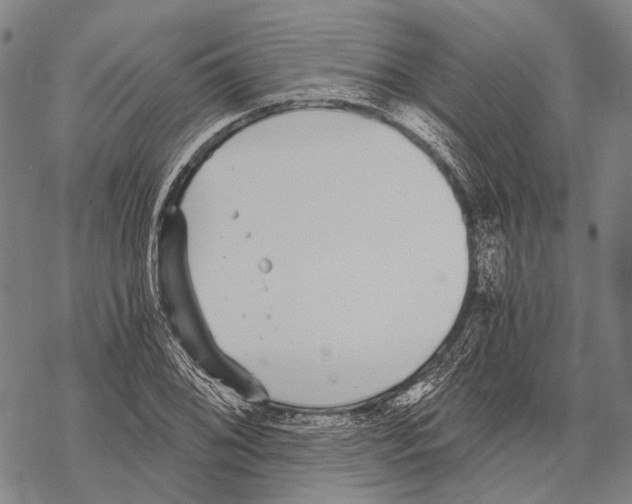 X0000068261076200605191757