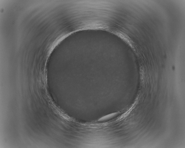 X0000068261077200605191757