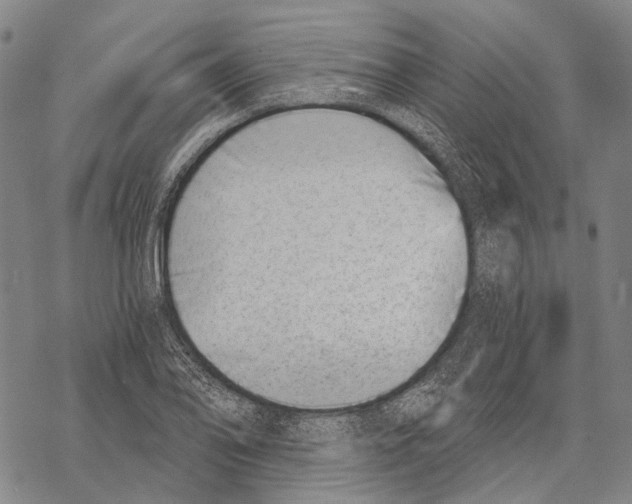 X0000068261078200605191757