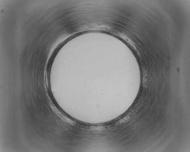 X0000068261080200605191757