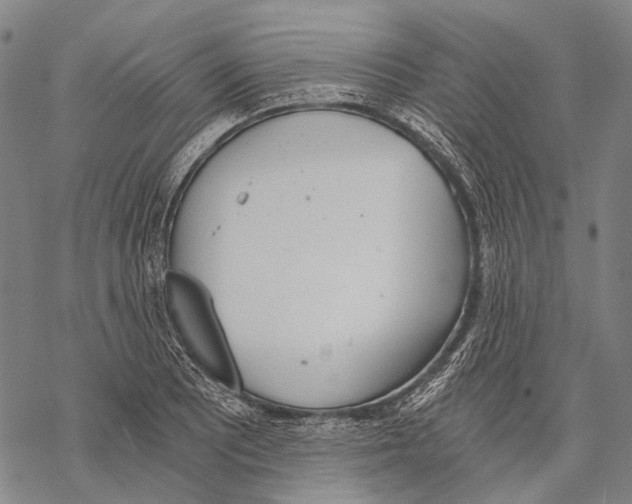 X0000068261081200605191757