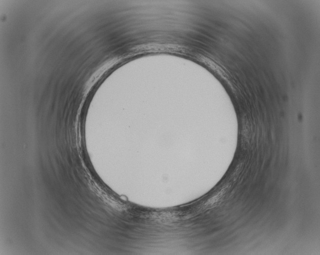 X0000068261082200605191757