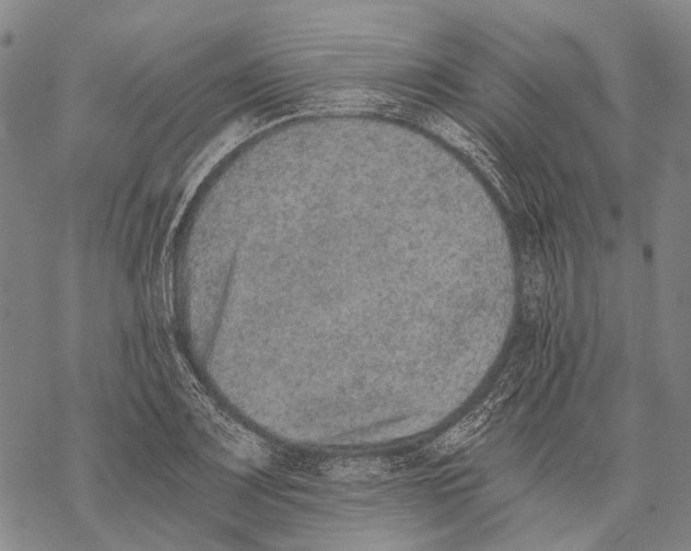 X0000068261083200605191757