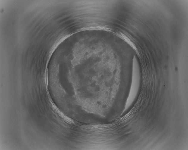 X0000068261084200605191757