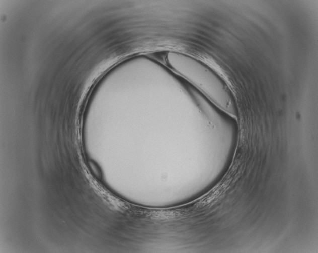 X0000068261088200605191757