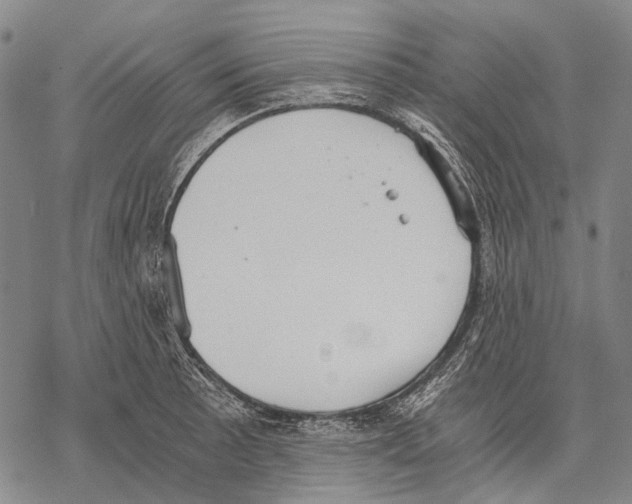 X0000068261089200605191757