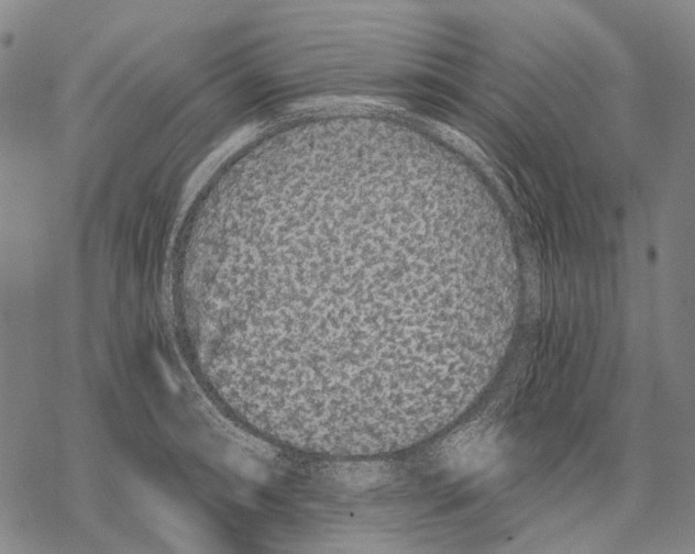 X0000068261090200605191757