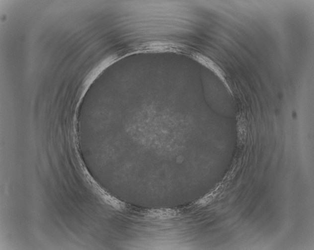 X0000068261091200605191757