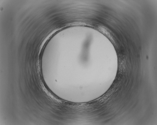 X0000068261092200605191757