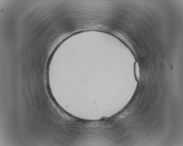 X0000068261093200605191757