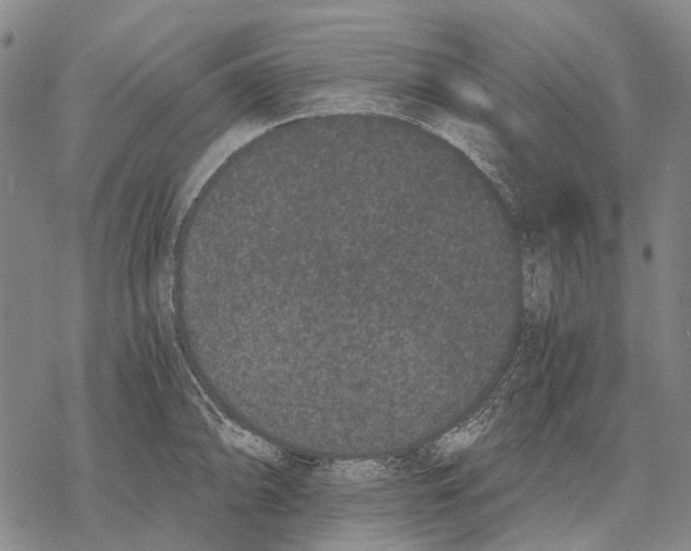 X0000068261094200605191757