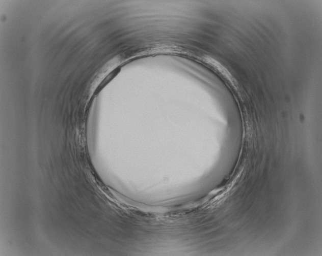 X0000068261097200605191757