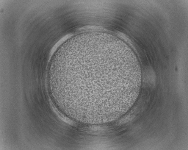 X0000068261098200605191757