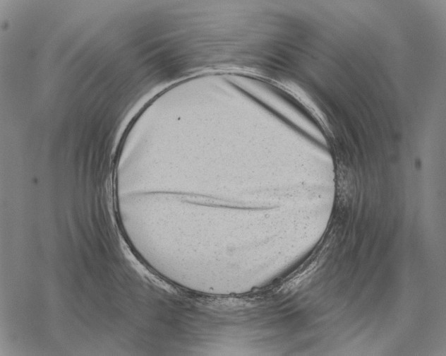 X0000068261100200605191757