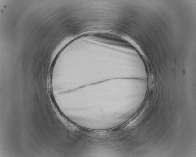 X0000068261101200605191756