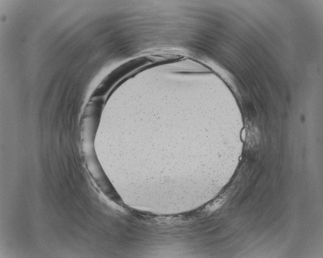 X0000068261102200605191756