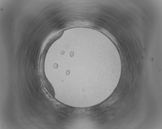 X0000068261104200605191756