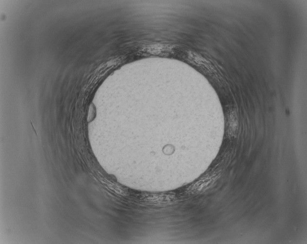 X0000068261105200605191756