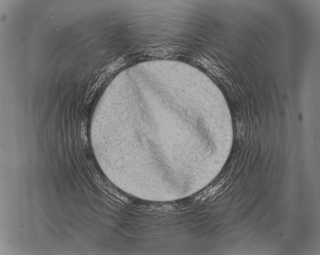 X0000068261106200605191756