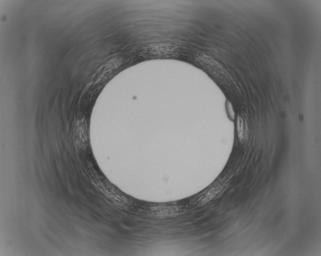 X0000068261107200605191756