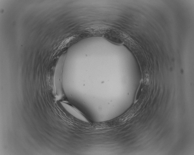 X0000068261108200605191756