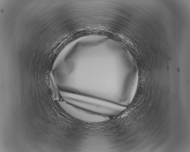 X0000068261110200605191756