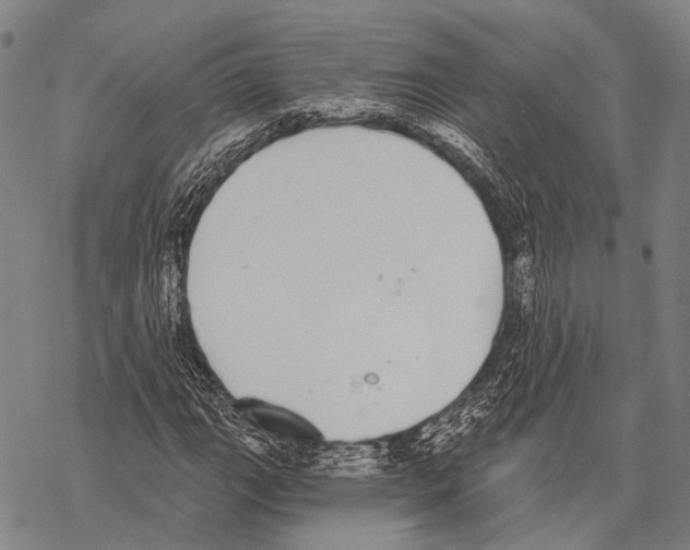 X0000068261111200605191756