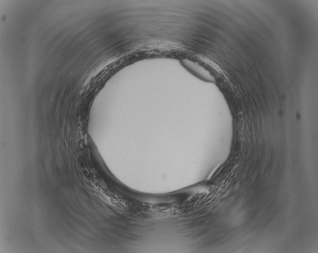 X0000068261112200605191756