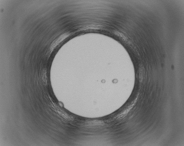 X0000068261113200605191756