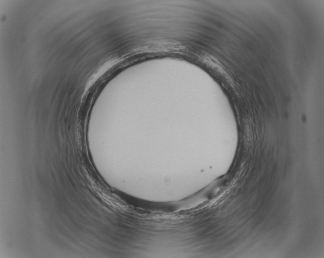 X0000068261114200605191756