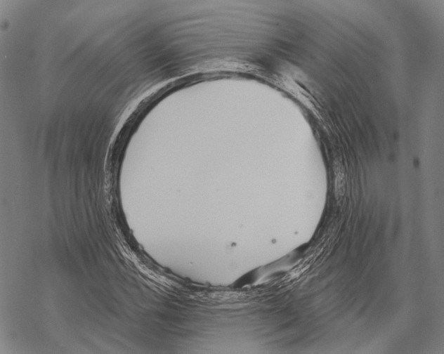 X0000068261116200605191756