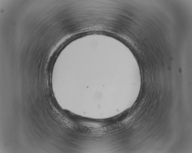 X0000068261118200605191756