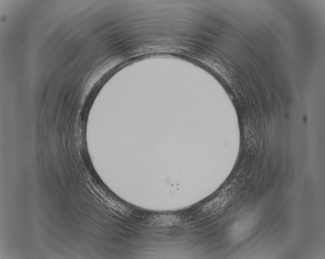 X0000068261119200605191756