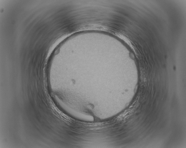 X0000068261120200605191756