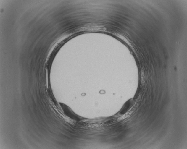 X0000068261123200605191756