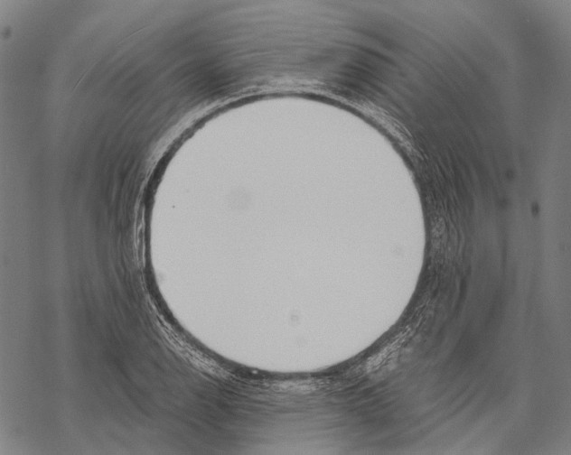 X0000068261126200605191756