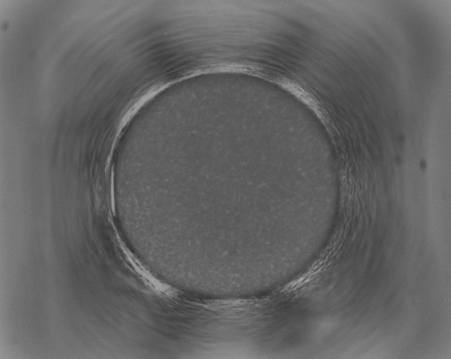 X0000068261127200605191756