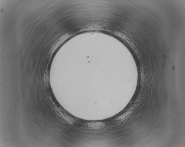 X0000068261129200605191756