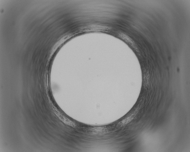 X0000068261130200605191756