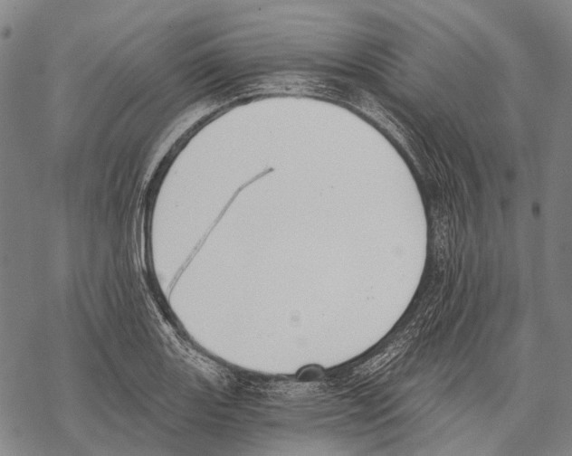 X0000068261131200605191756