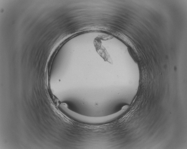 X0000068261132200605191756