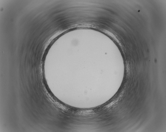 X0000068261133200605191756