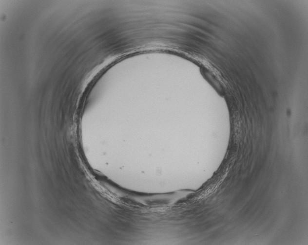 X0000068261134200605191756