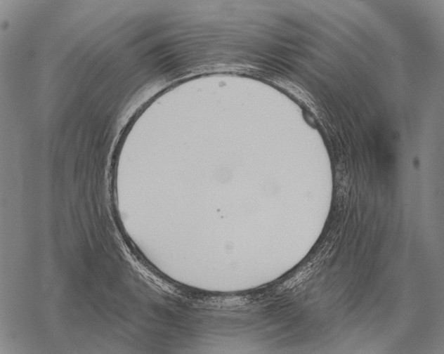 X0000068261135200605191756