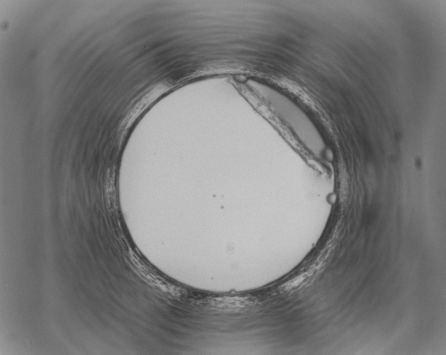 X0000068261137200605191756