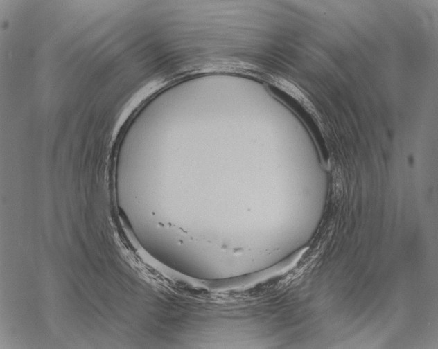 X0000068261138200605191756