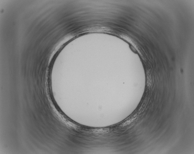 X0000068261139200605191756