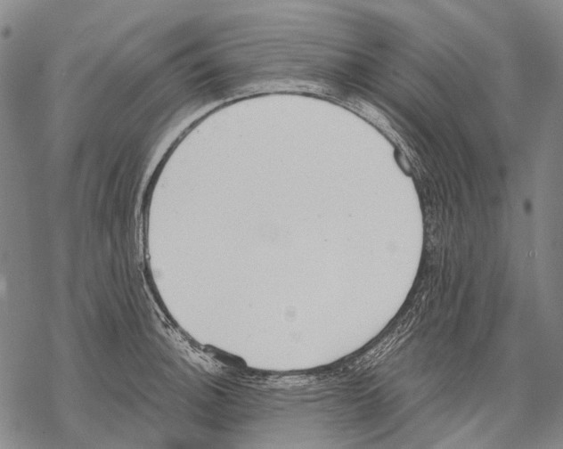 X0000068261140200605191756