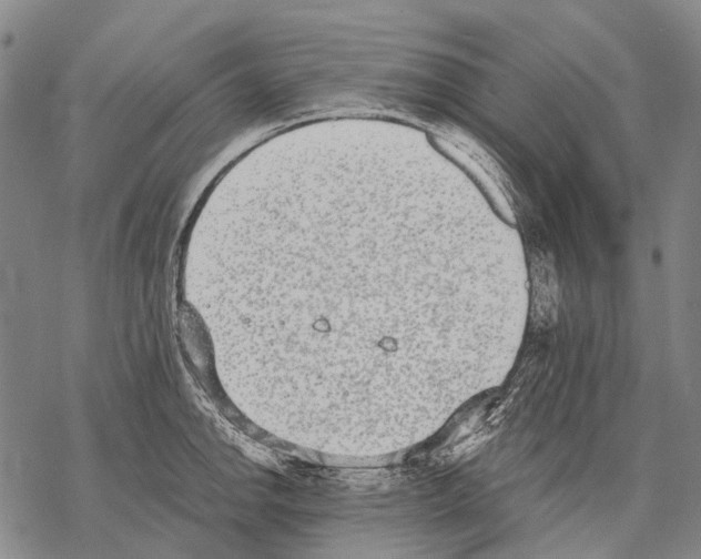 X0000068261142200605191756