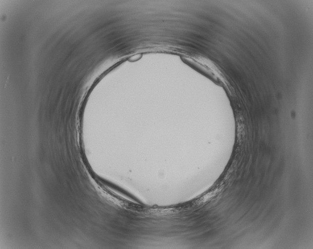 X0000068261143200605191756